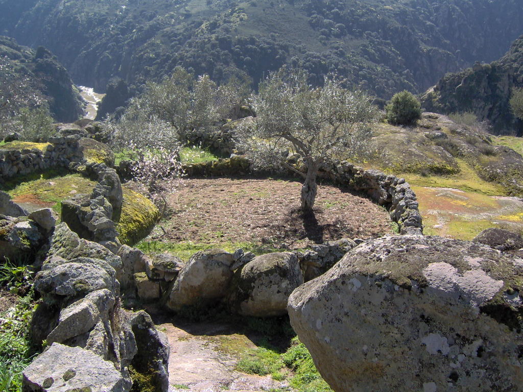 בית הארחה Picote 	Casa De L Barrio מראה חיצוני תמונה